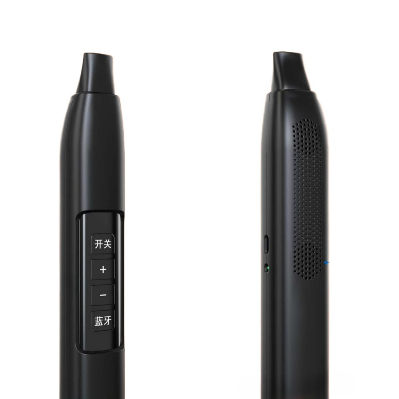 Portable Electronic Wind Instr - Speakers 评论和价格