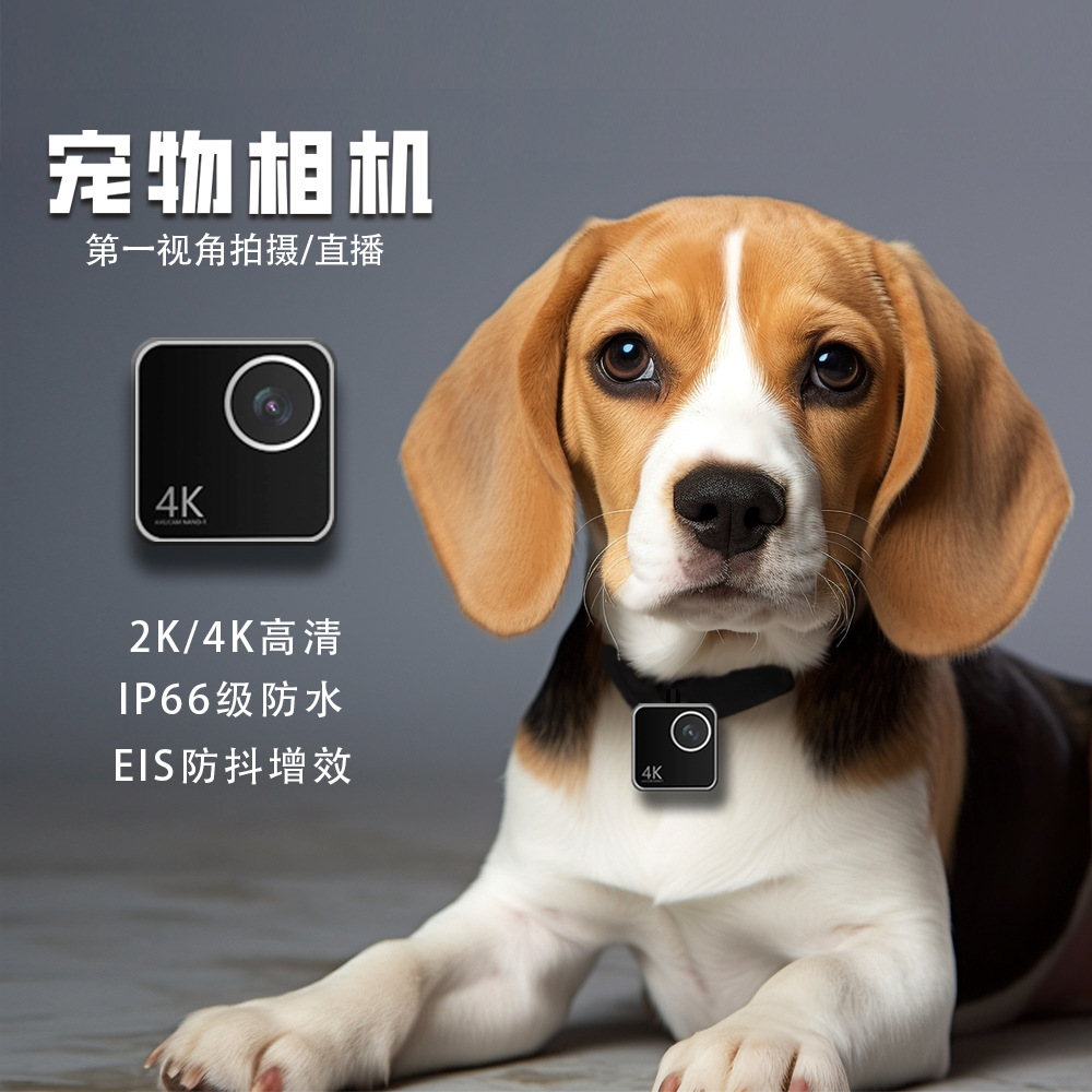 Animal cat dog pet camera firs - Cameras 评论和价格