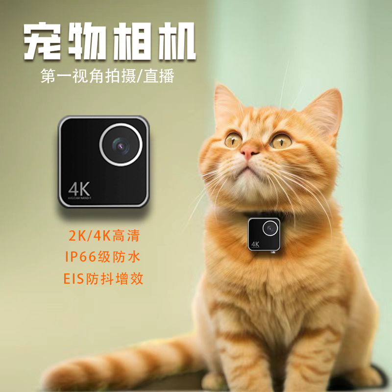 Animal cat dog pet camera firs - Cameras 评论和价格