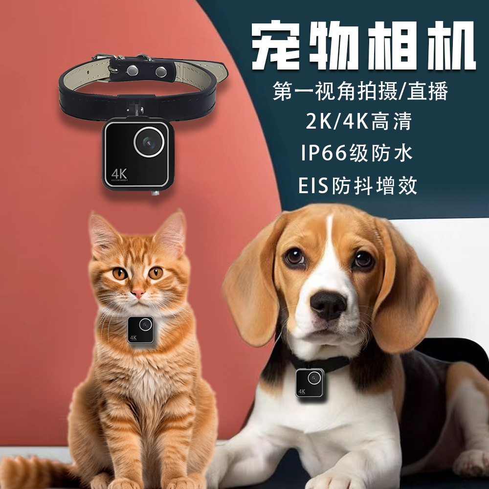 Animal cat dog pet camera firs - Cameras 评论和价格