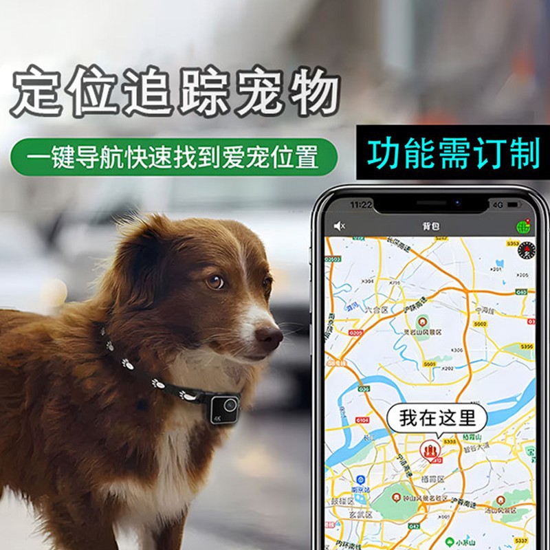Animal cat dog pet camera firs - Cameras 评论和价格
