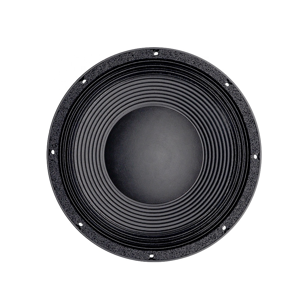 12DS Pro Audio Equipment 12''  - Speakers 评论和价格