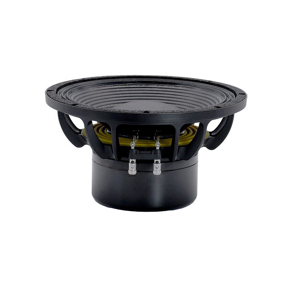 12DS Pro Audio Equipment 12''  - Speakers 评论和价格