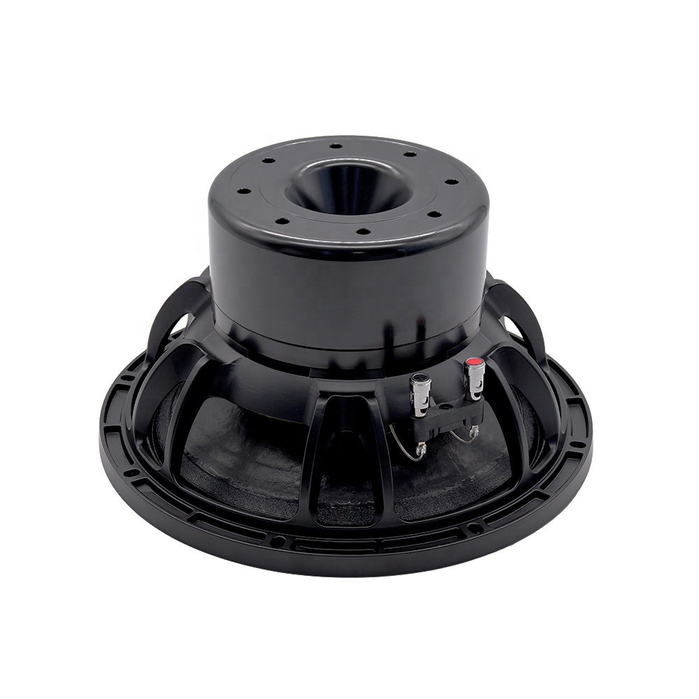 12DS Pro Audio Equipment 12''  - Speakers 评论和价格