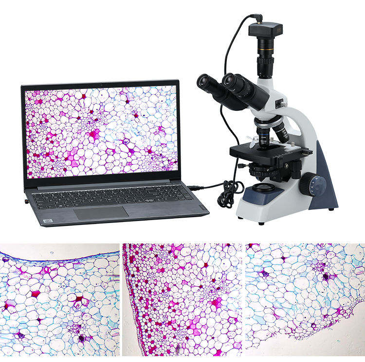 Binocular Biological Digital V - Cameras 评论和价格