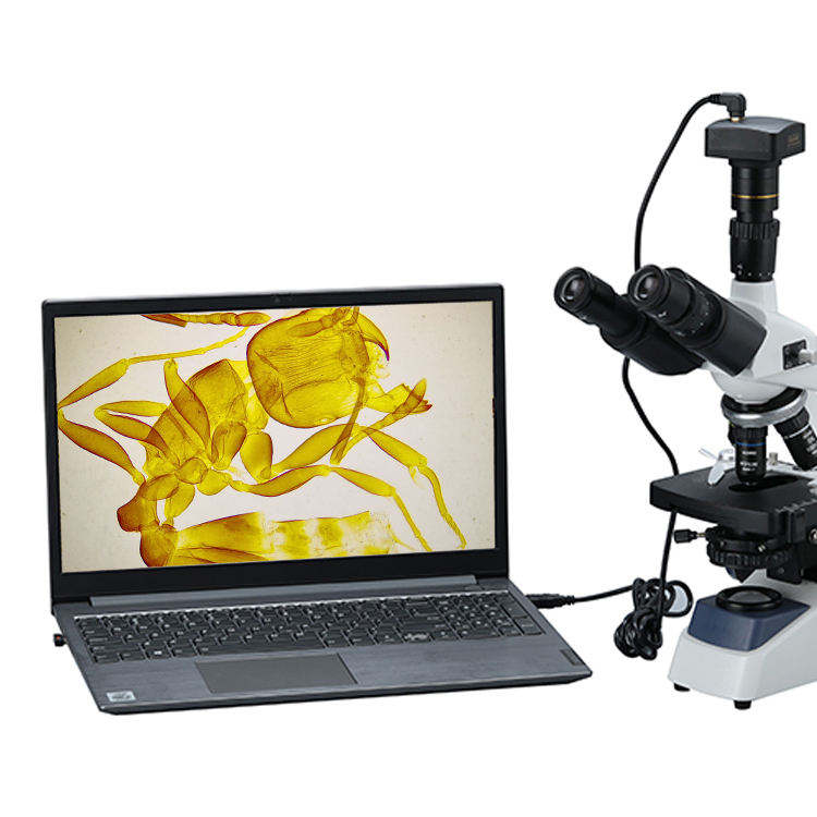 Binocular Biological Digital V - Cameras 评论和价格